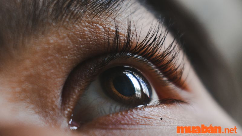 Mụn ruồi dưới mắt trái có ảnh hưởng đến tính cách của người phụ nữ không?
