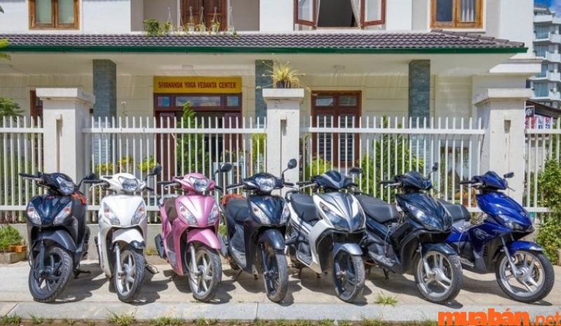 Cửa hàng Anh Tân chuyên cho thuê xe máy