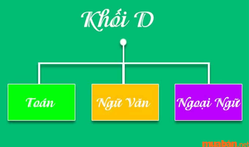 Học khối D nên thi trường nào