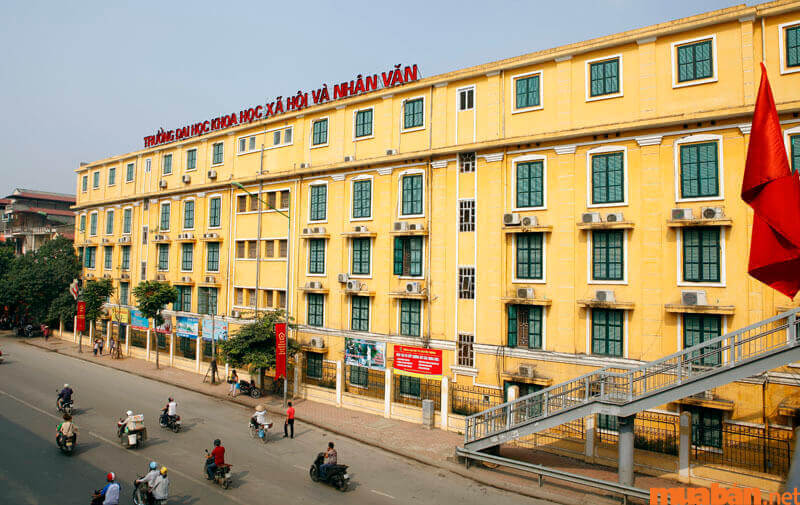 Học khối D nên thi trường nào