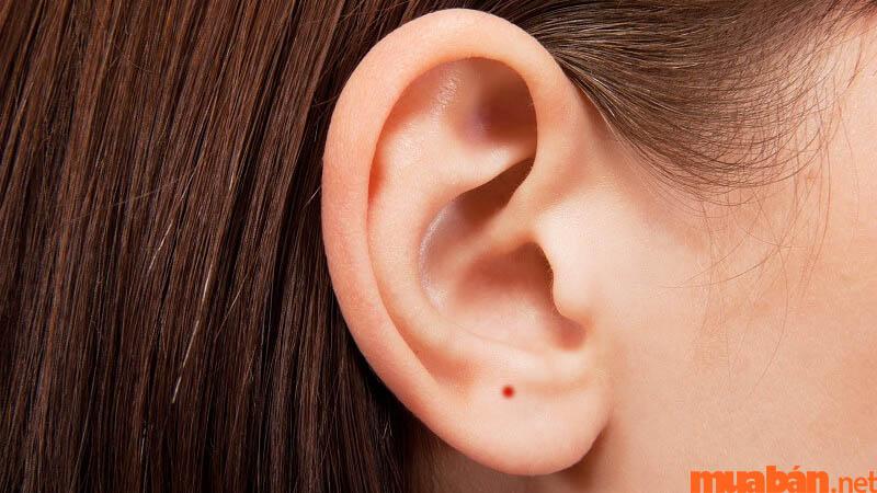 Nếu có nốt ruồi son ở tai, bạn là người có tuổi thọ cao
