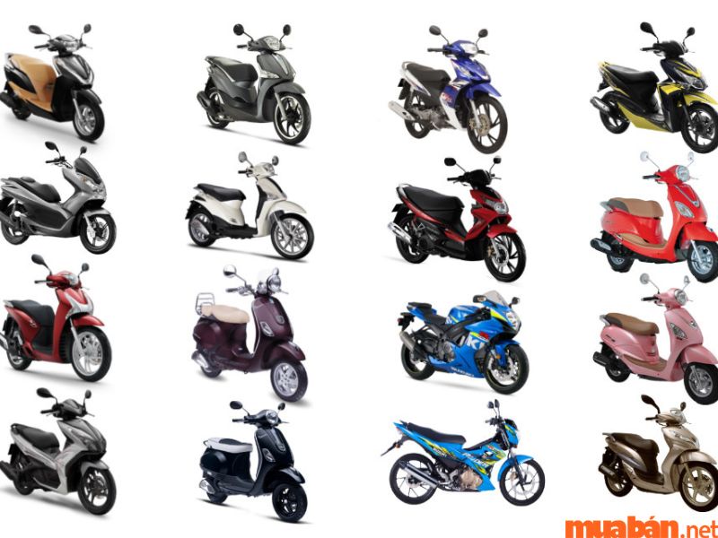 Giá thuê xe máy tại Đà Lạt mới nhất 2023