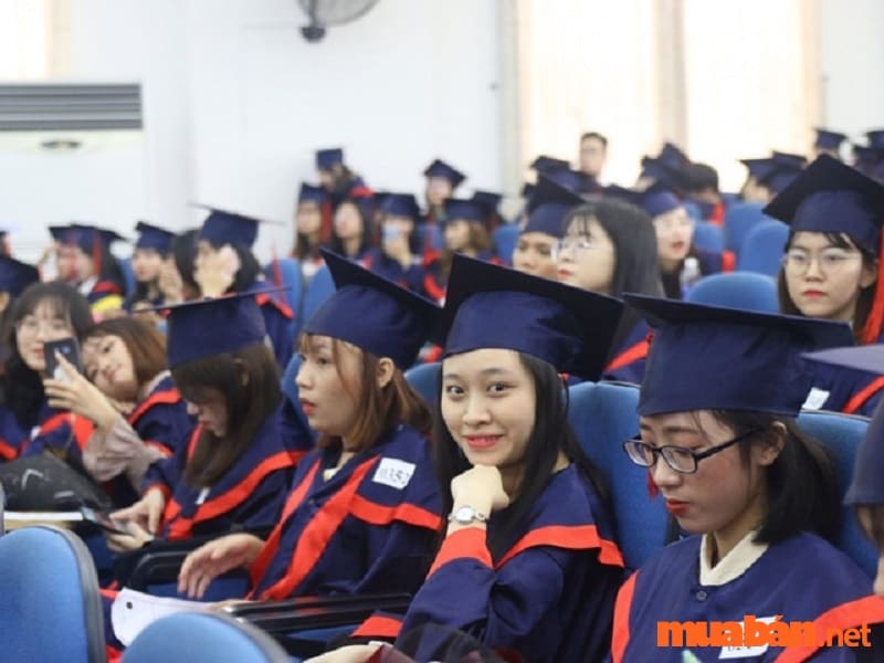 Tìm hiểu học phí Đại học Ngoại ngữ Đà Nẵng để biết có phù hợp với tài chính gia đình hay không?