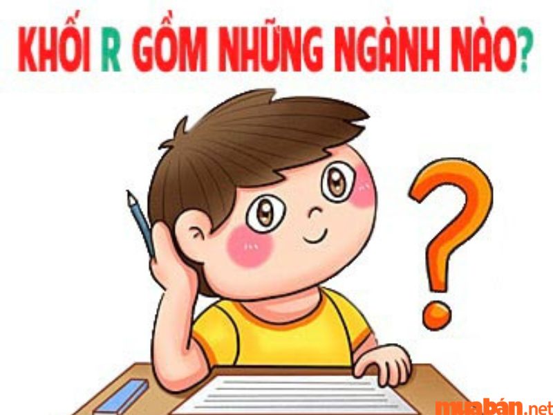 Khối R gồm những môn nào và những ngành đào tạo khối R phổ biến hiện nay