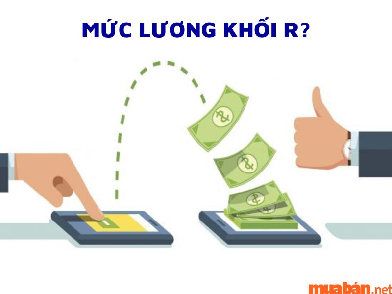 Học Đại học khối R ra trường mức lương bao nhiêu?