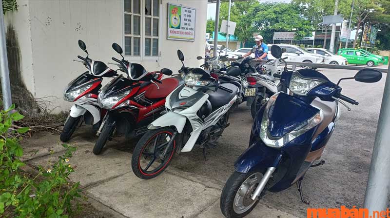Cửa hàng cho thuê xe máy Phan Thiết Thanh Lâm có đa dạng các loại xe với số lượng lớn