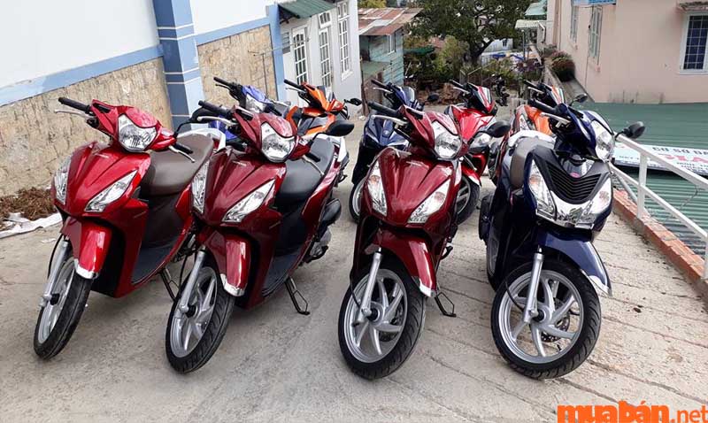 Bạn có thể thuận tiện thuê xe máy Nhi Nguyễn ngay cạnh bãi biển Hàm Tiến