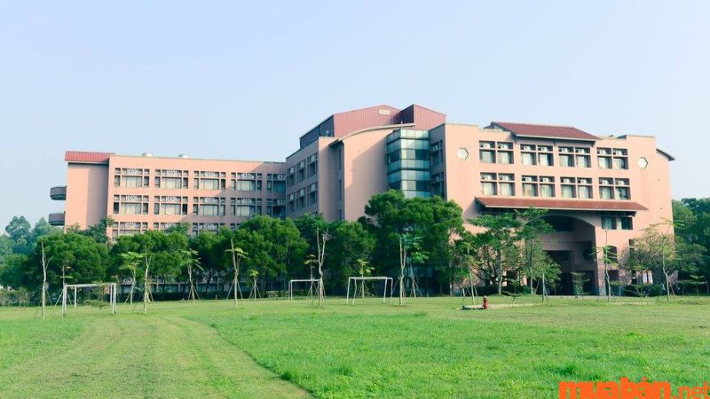 Tham khảo mức học phí Đại học Ngoại Thương năm học 2025 - 2026