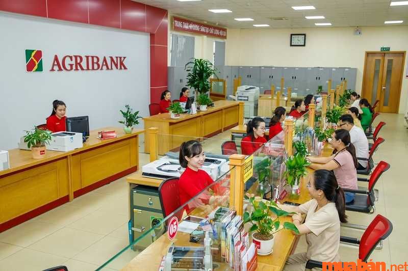 Đại học Thủ Đô học phí có thể đóng tự động qua ngân hàng Agribank