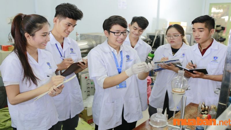 Các trường đào tạo chuyên ngành Hóa học ở Việt Nam
