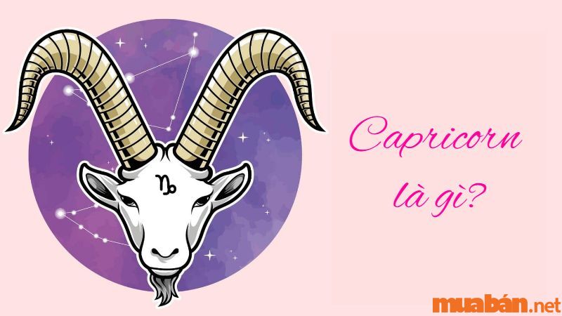 Capricorn là gì?