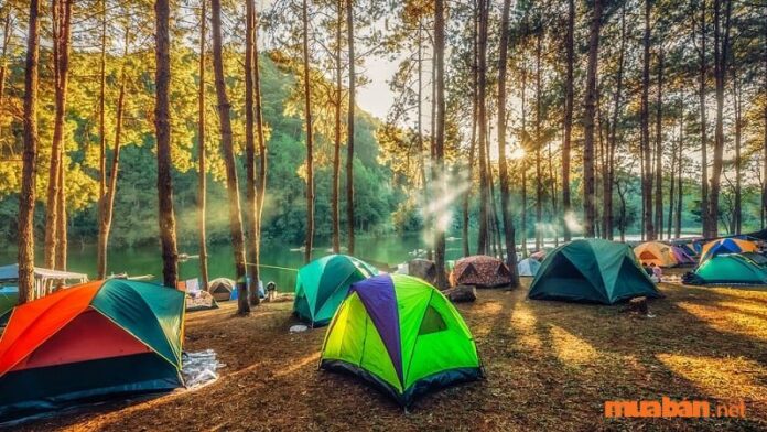 Cắm trại là hình thức du lịch rất phổ biến với giới trẻ hiện nay.