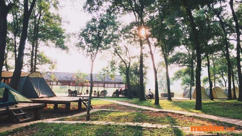 Đây là địa điểm cắm trại gần Hà Nội mang lại không khí trong lành nhờ vào hệ thống cây xanh nằm bên bờ suối và cả vườn lan với đủ loại đua nhau khoe sắc hương.