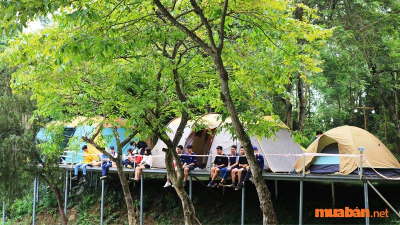 Khu cắm trại Sơn Tinh Camp 3 mang đến trải nghiệm đầy mới mẻ với dịch vụ, chắc hẳn là điểm cắm trại ấn tượng mà nhiều du khách cảm thấy thích thú.