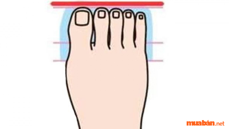 Người có các ngón chân dài bằng nhau thường ngay thẳng, trung thực