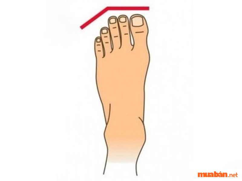 Người có bàn chân với độ dài 3 ngón đầu tiên gần bằng nhau giỏi quán xuyến việc nhà