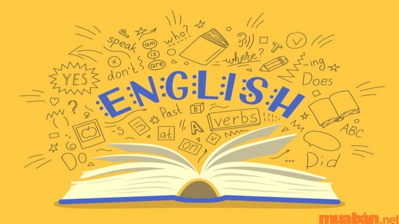 Các cách ôn thi tiếng Anh hiệu quả tại nhà bạn cần biết để đạt kết quả tốt.