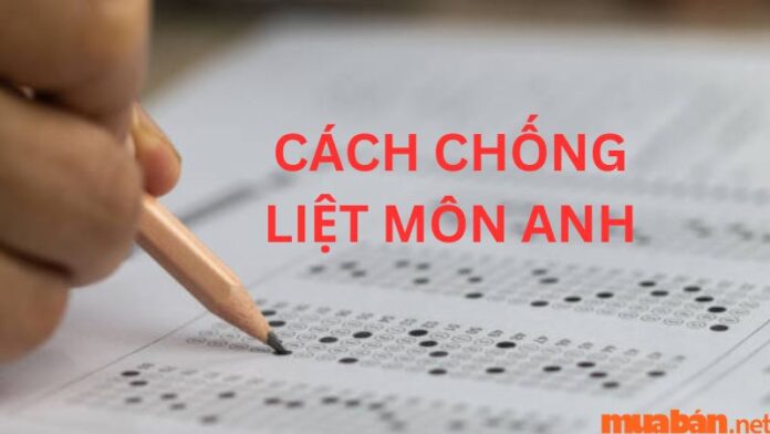 Cách chống liệt môn anh hiệu quả, an toàn cho các sĩ tử