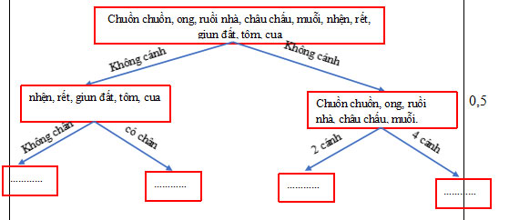 de-thi-khtn-lop-6-cuoi-hoc-ki-2-3