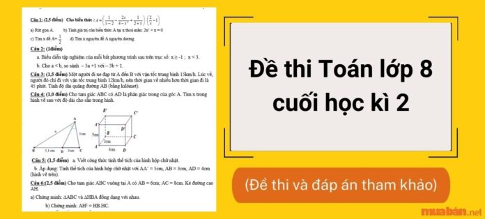 Đề thi Toán lớp 8 cuối học kì 2