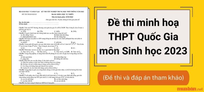 Đề thi minh hoạ Sinh 2023