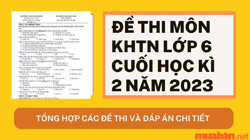 de-thi-khtn-lop-6-cuoi-hoc-ki-2-1