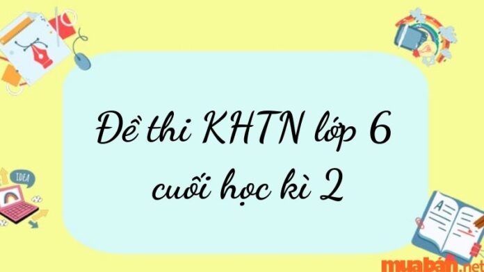 đề thi tin học lớp 6 cuối kì 2