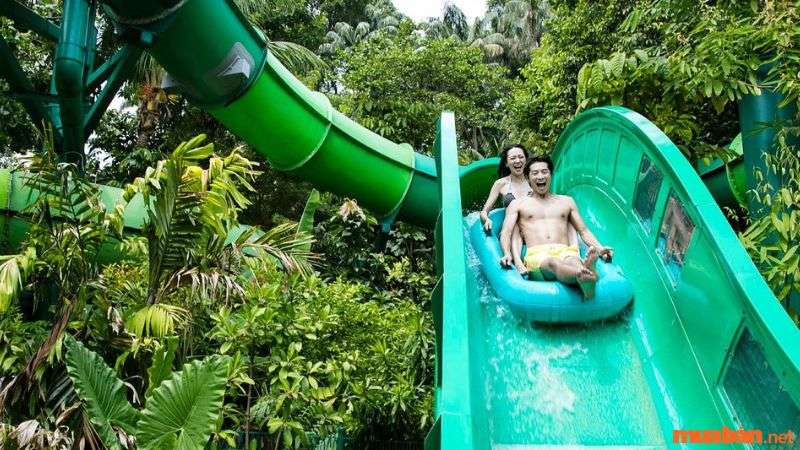 Kinh nghiệm du lịch Singapore - Adventure Cove Waterpark