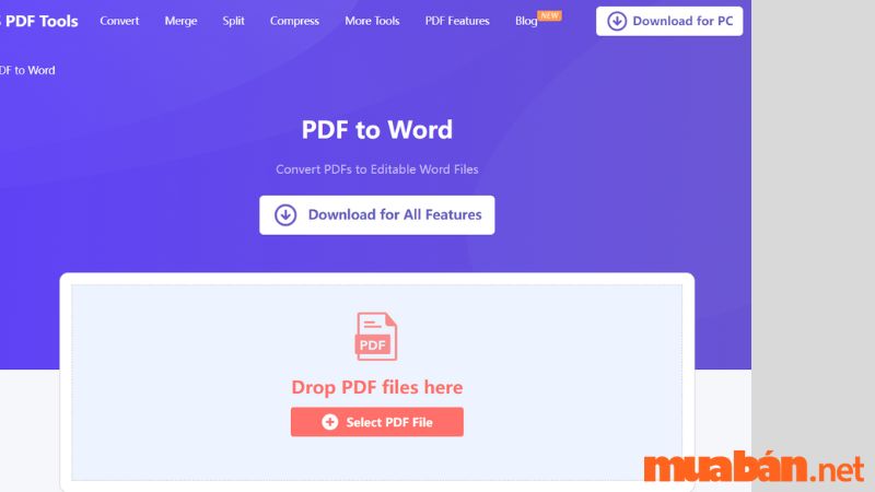 WPS Office: Chuyển Word sang PDF