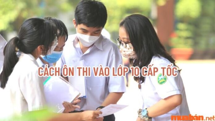 Cách ôn thi vào lớp 10 cấp tốc hiệu quả, dễ đỗ vào trường Top