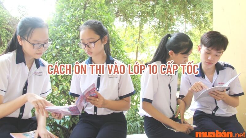 Cách ôn thi vào lớp 10 cấp tốc hiệu quả, dễ đỗ vào trường Top