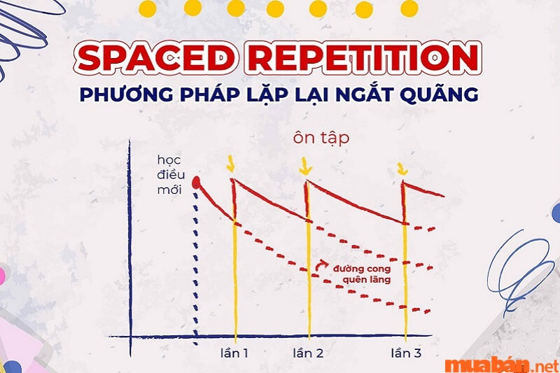 cách ôn thì vào lớp 10 cấp tốc bằng phương pháp Spaced Repetition.