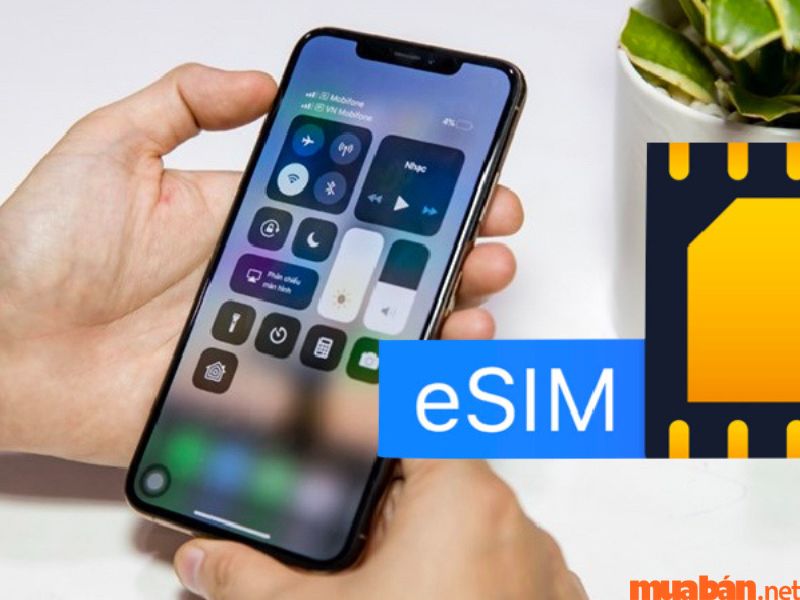 Các thiết bị hỗ trợ sử dụng eSIM tại Việt Nam