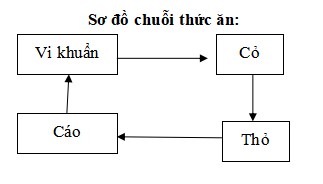 Đáp án đề thi khoa học lớp 4 cuối học kì 2