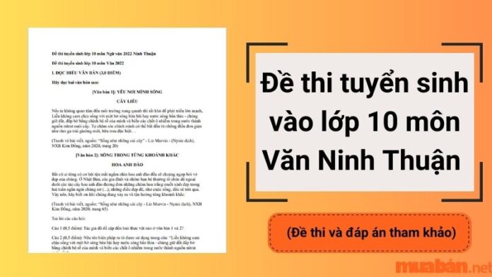 Đề thi tuyển sinh vào lớp 10 môn Văn Ninh Thuận 2023