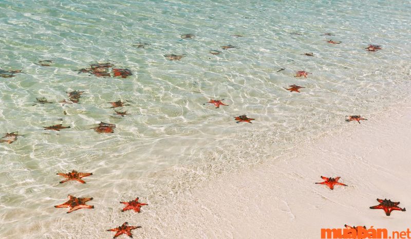 Bãi Rạch Vẹm đứng ở vị trí đầu tiên trong TOP bãi biển đẹp nhất Phú Quốc