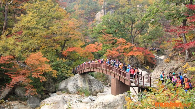 Vườn quốc gia Seoraksan là địa điểm du lịch nổi tiếng nằm ở phía đông bắc Hàn Quốc. Công viên sở hữu một số cảnh đẹp được công nhận là đẹp nhất của Hàn Quốc.