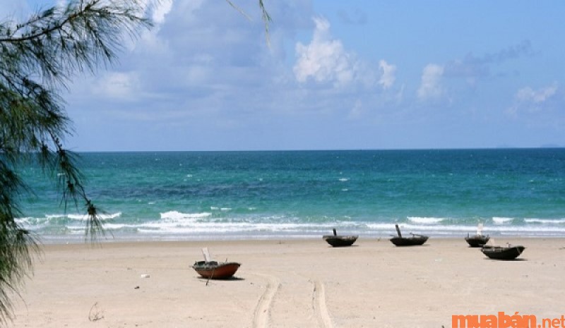 Hồng Vàn được đánh giá cao về vẻ đẹp hoang sơ, là một trong các bãi biển đẹp ở miền Bắc.