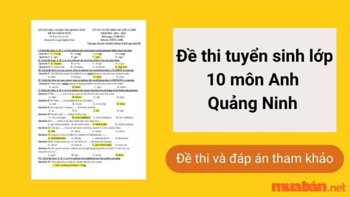 Tổng hợp đề thi tuyển sinh lớp 10 môn Anh tỉnh Quảng Ninh kèm đáp án mới nhất
