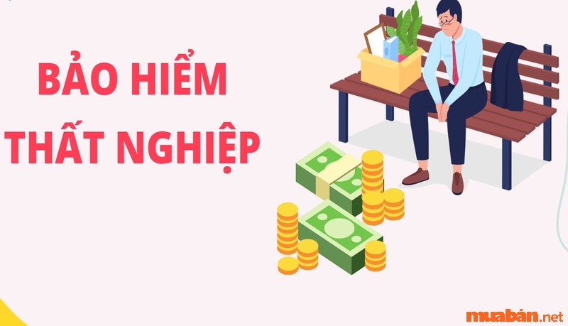 cách tính bảo hiểm thất nghiệp