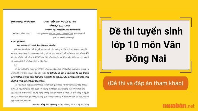 Đề Thi Tuyển Sinh Lớp 10 Môn Văn Đồng Nai 2023 (Kèm Đáp Án)