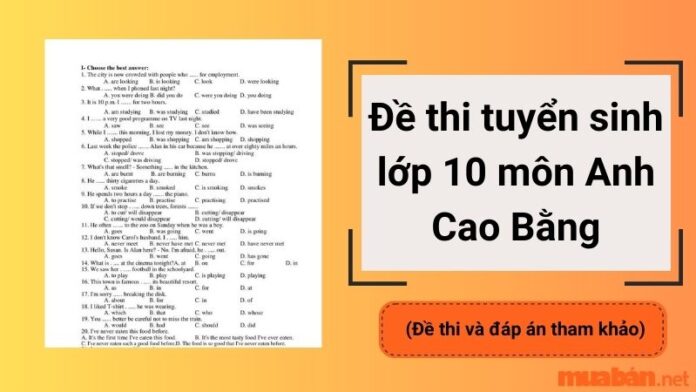 Trọn bộ đề thi tuyển sinh lớp 10 môn Anh Cao Bằng mới nhất