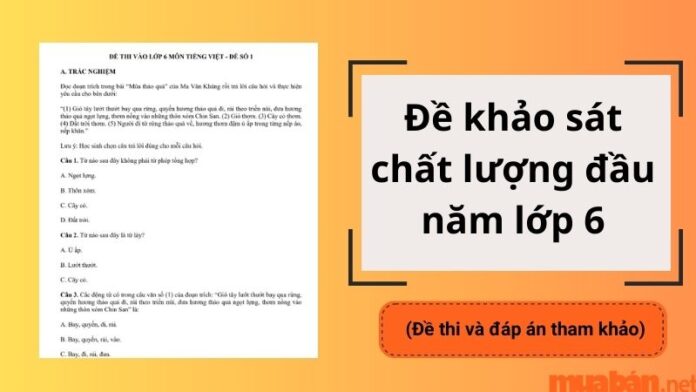 Đề khảo sát chất lượng đầu năm lớp 6 kèm đáp án chi tiết