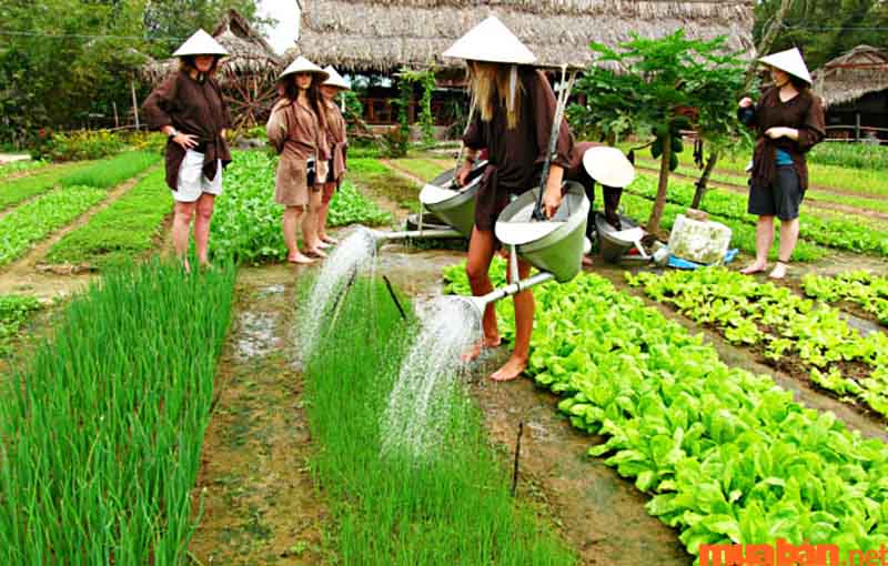 bãi biển đẹp nhất việt nam