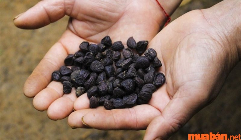 Theo kinh nghiệm du lịch Pù Luông thì hạt dỗi là một món đáng mua để làm quà