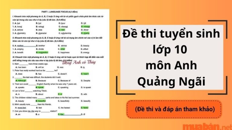Đề thi tuyển sinh lớp 10 môn Anh tỉnh Quảng Ngãi kèm đáp án chi tiết