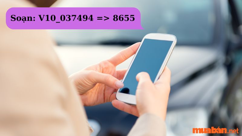 Soạn tin nhắn với cú pháp: V10 (dấu cách) Số báo danh và gửi tới số 8655