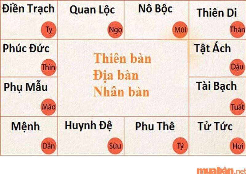 Vị trí cung Nô Bộc trên bản đồ cung, mệnh, sao