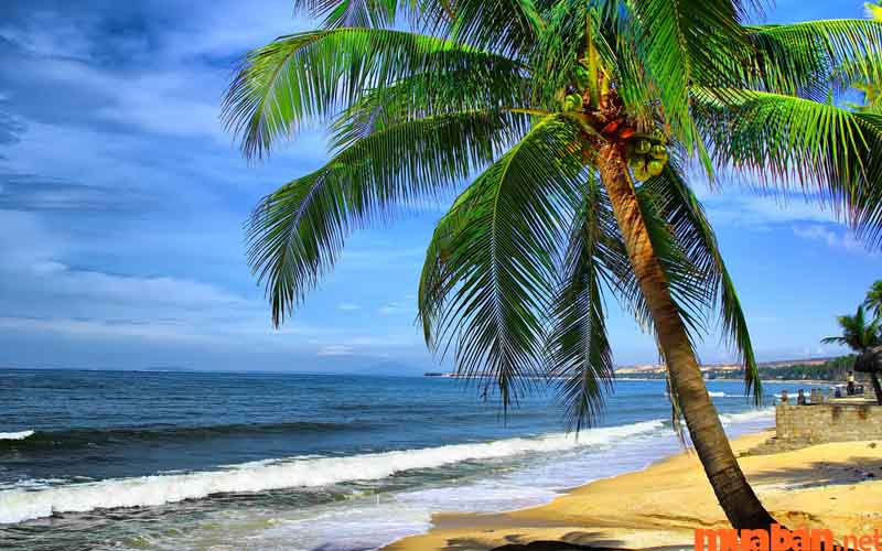 Biển Nha Trang nổi tiếng là một trong những bãi biển đẹp nhất thế giới tại Việt Nam
