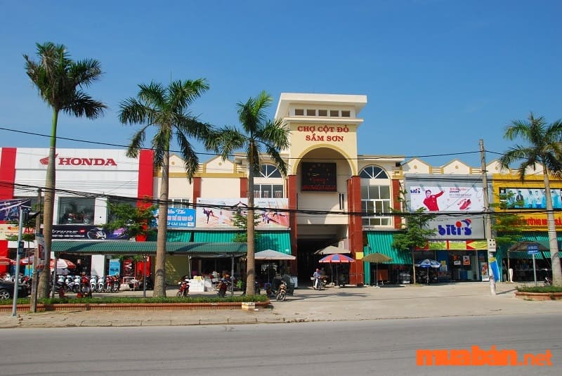 Kinh nghiệm du lịch Sầm Sơn - đi chợ hải sản Sầm Sơn